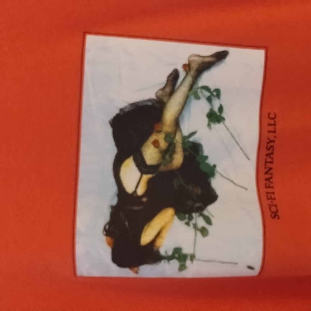 Orange Graphic Tee
